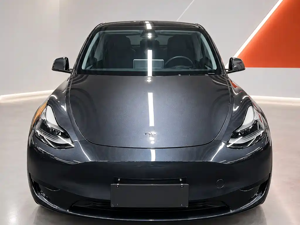 Tesla Model Y — фото 2