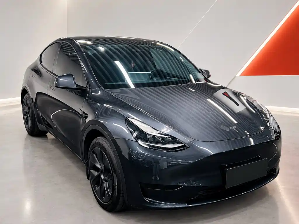 Tesla Model Y — фото 3