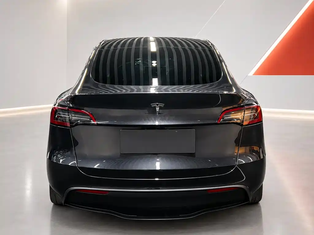 Tesla Model Y — фото 5