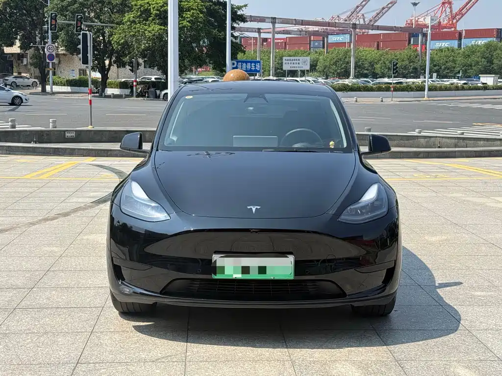 Tesla Model Y — фото 2