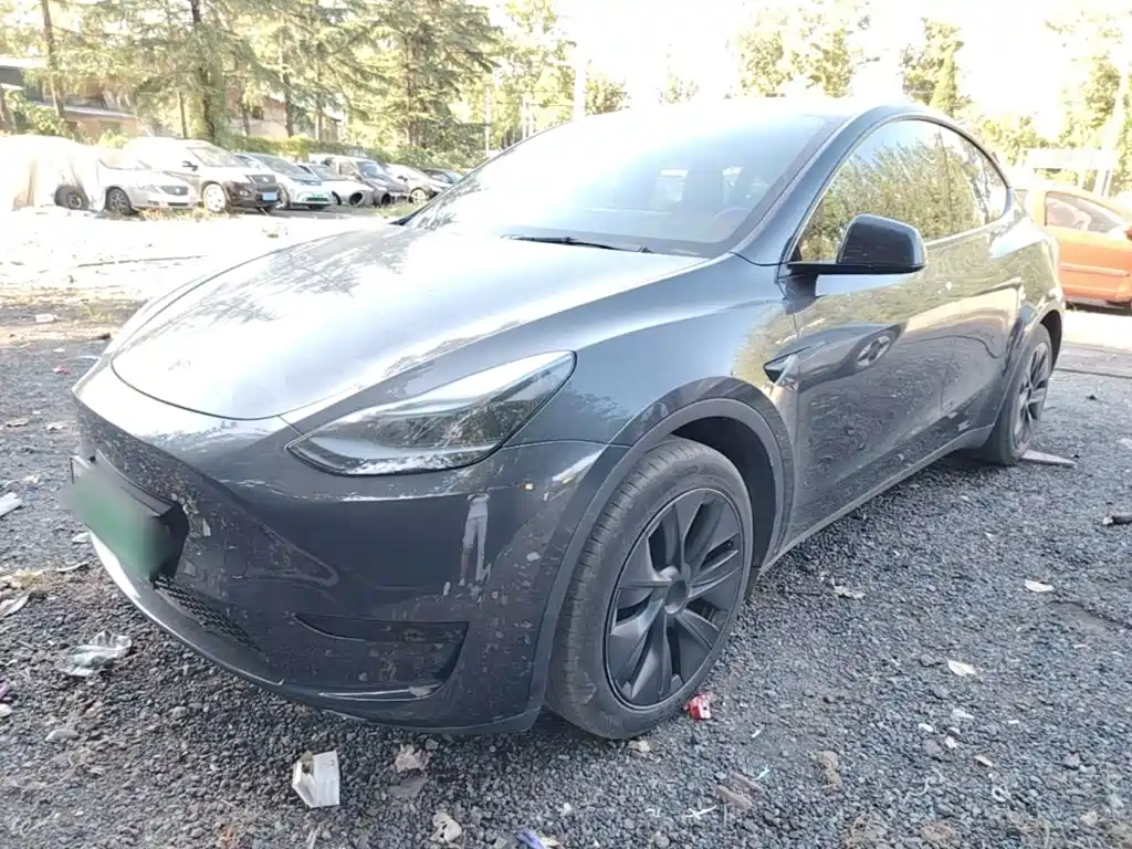 Tesla Model Y — фото 2