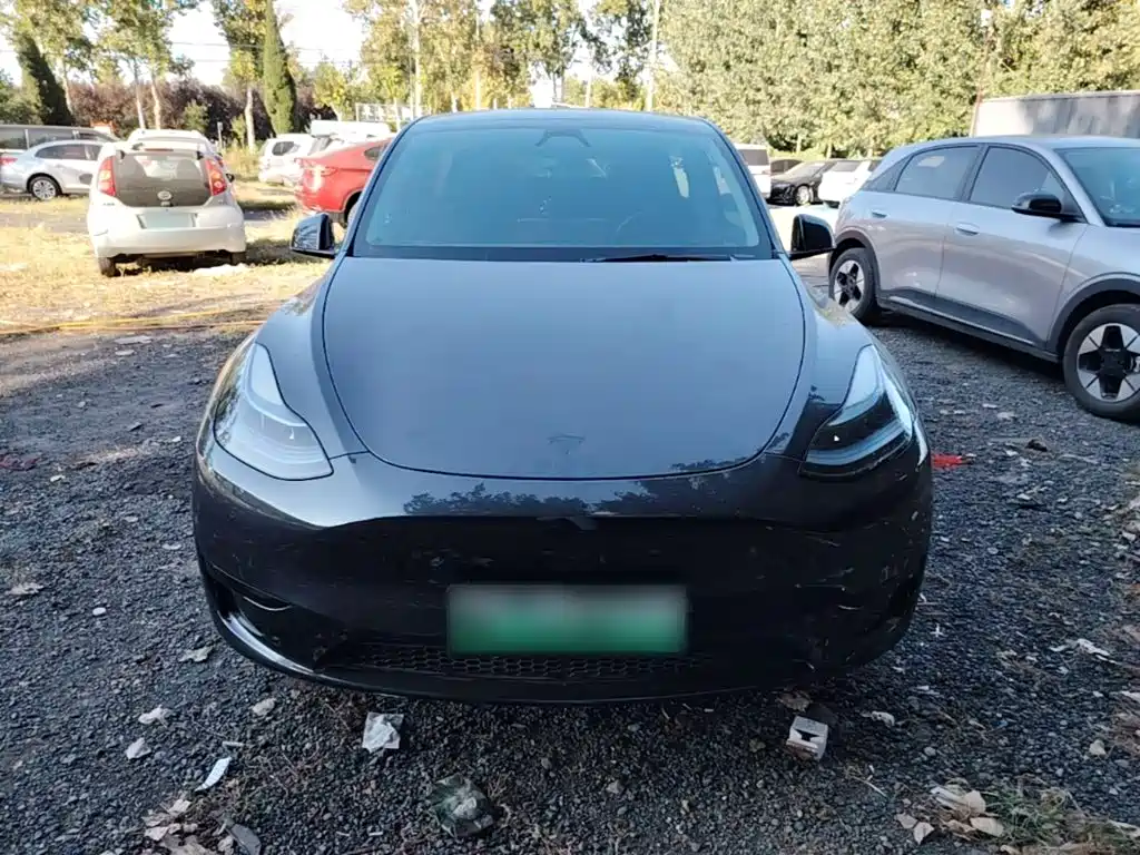 Tesla Model Y — фото 3