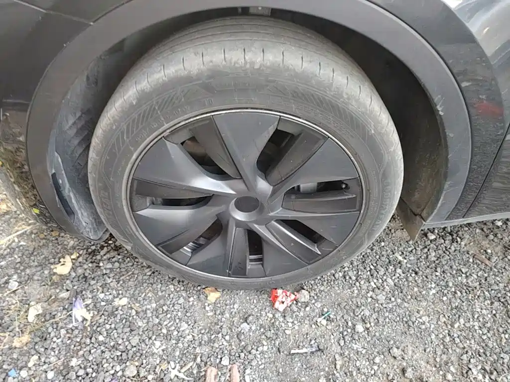 Tesla Model Y — фото 23