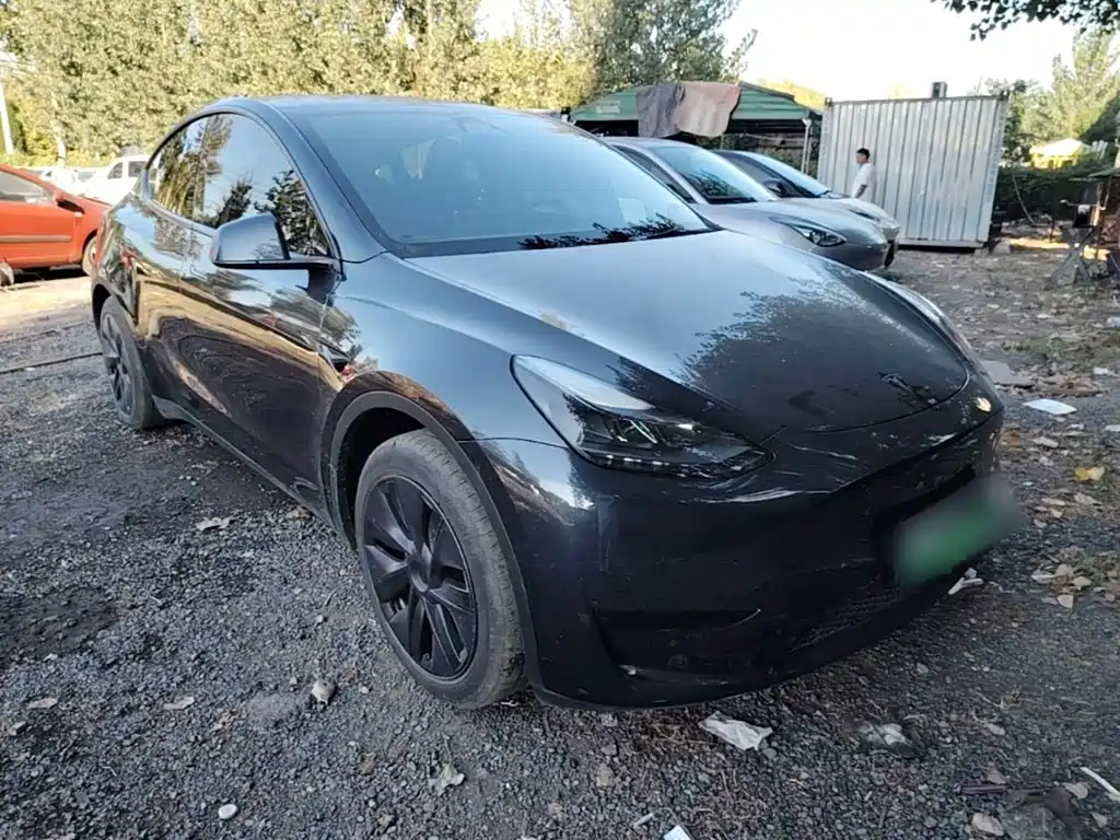 Tesla Model Y — фото 4