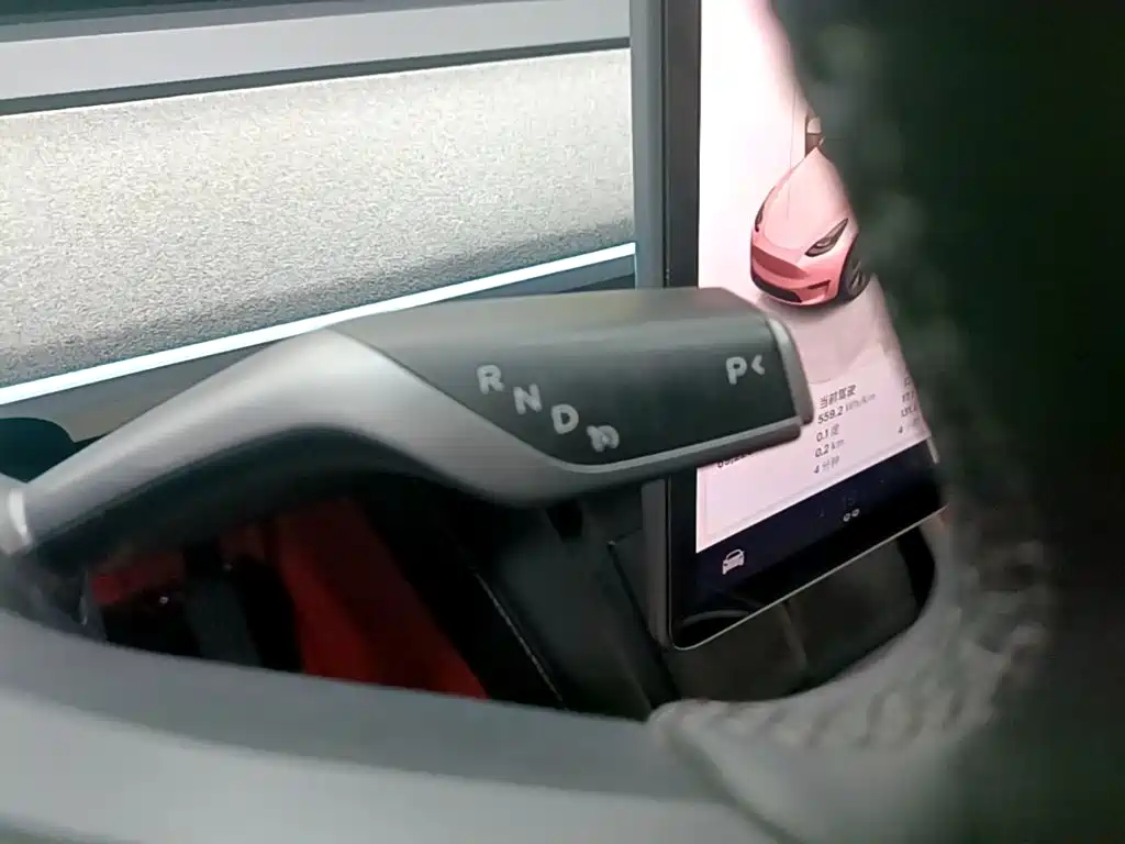 Tesla Model Y — фото 14