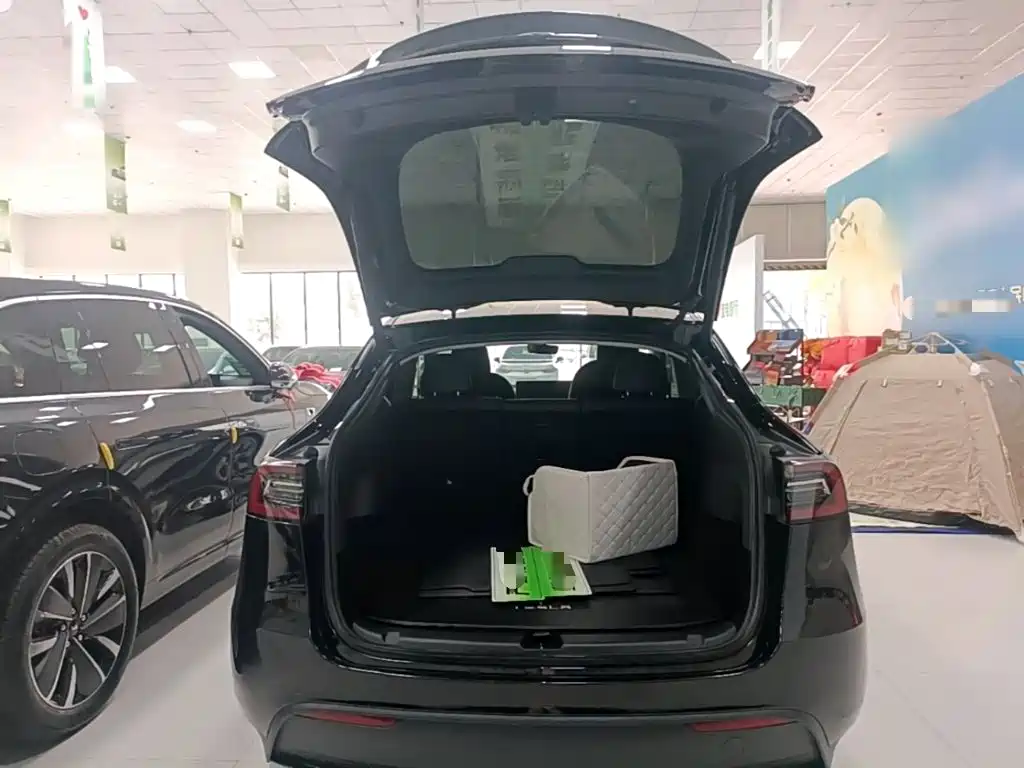 Tesla Model Y — фото 19