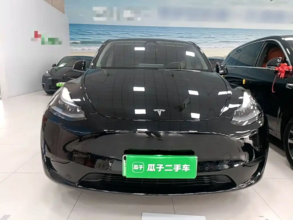 Tesla Model Y — фото 3