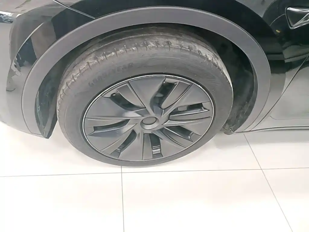 Tesla Model Y — фото 23