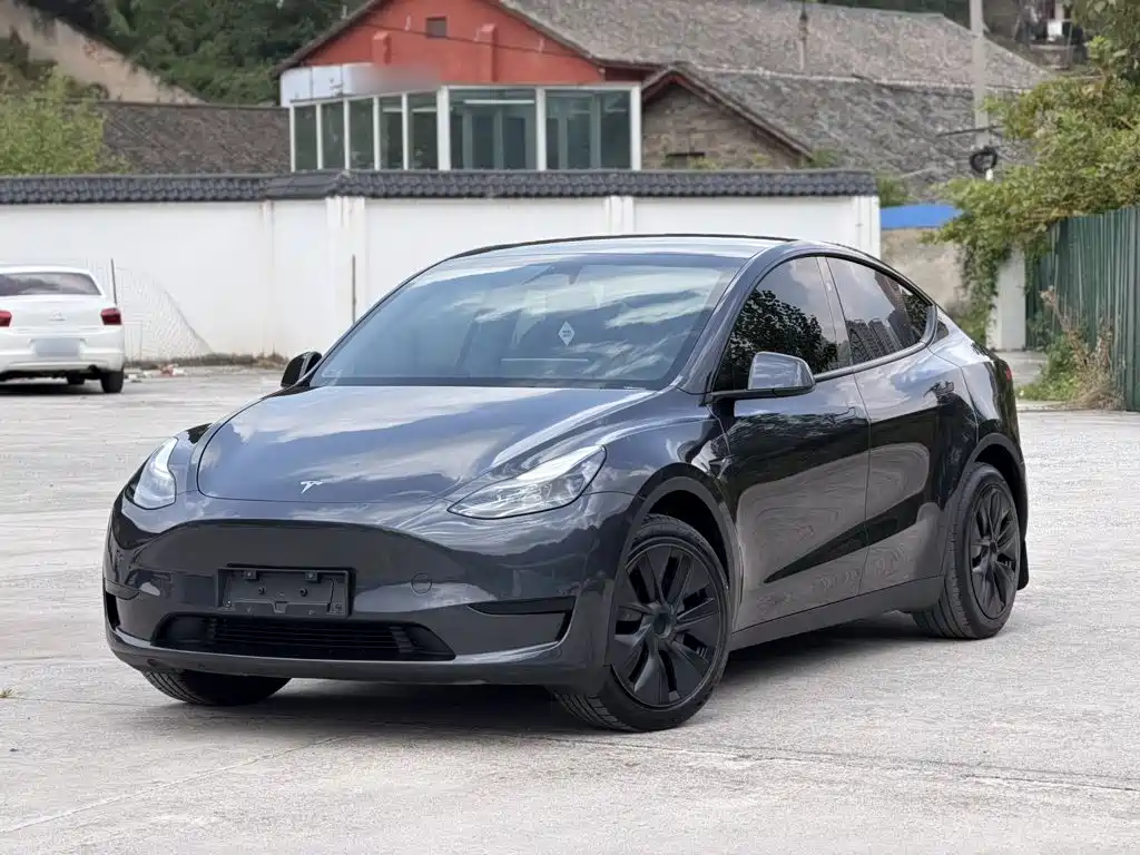 Tesla Model Y — фото 2
