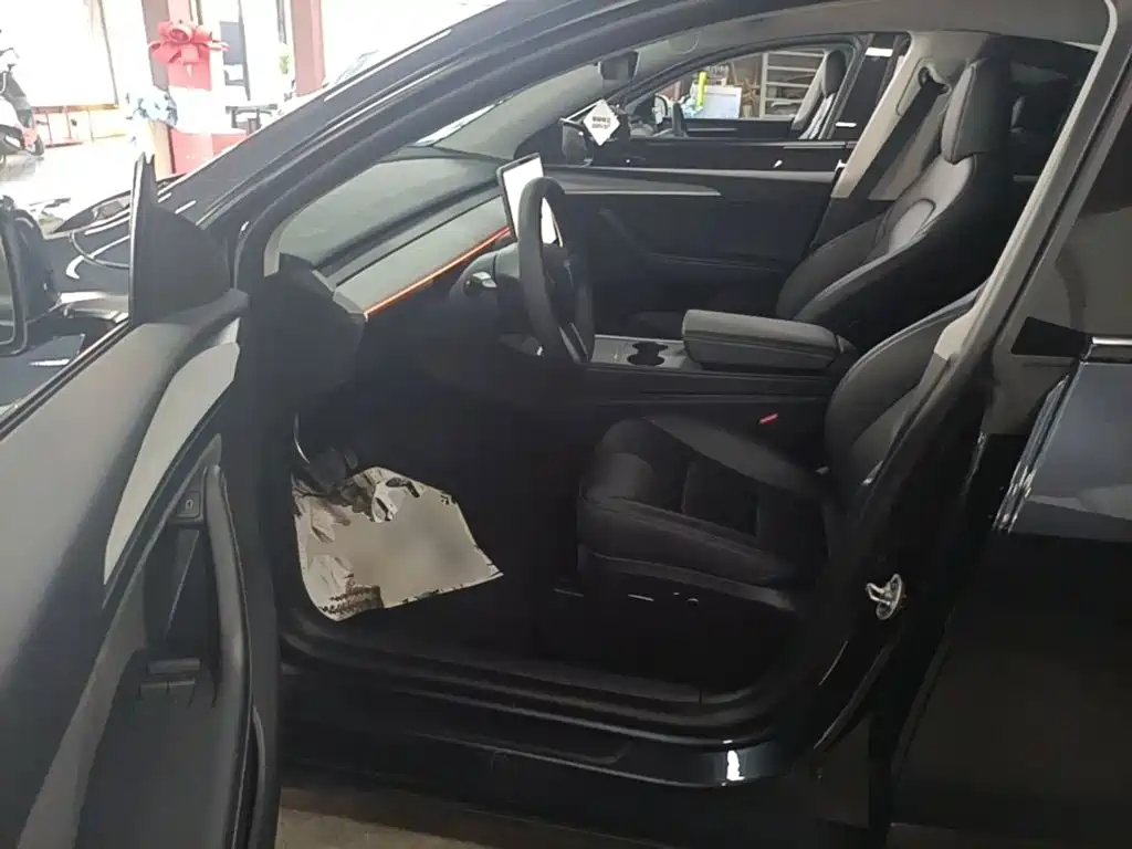 Tesla Model Y — фото 15