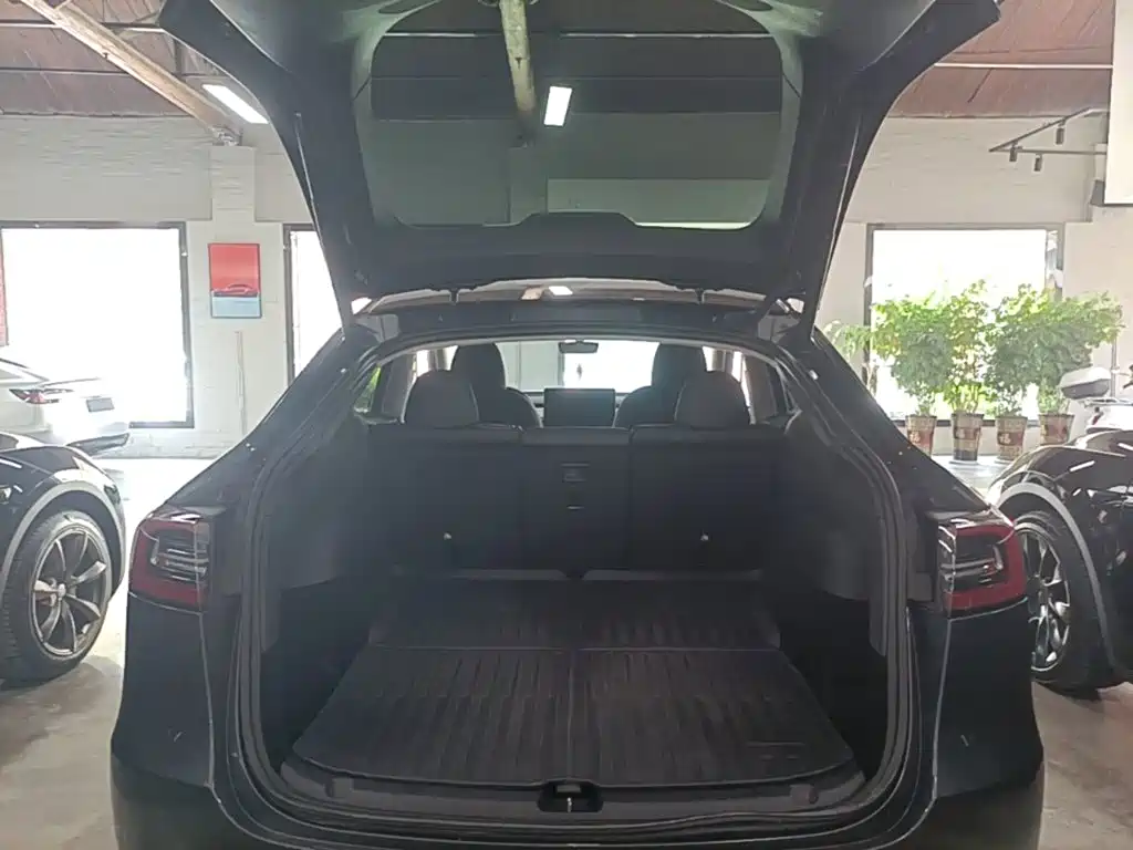 Tesla Model Y — фото 19