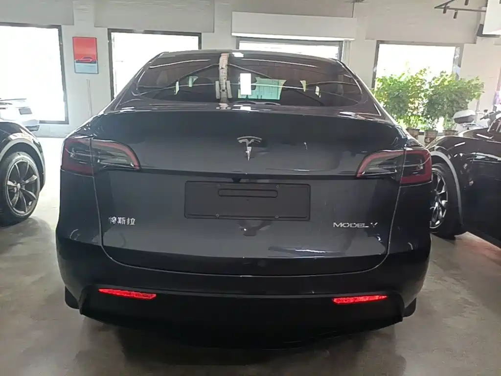 Tesla Model Y — фото 6