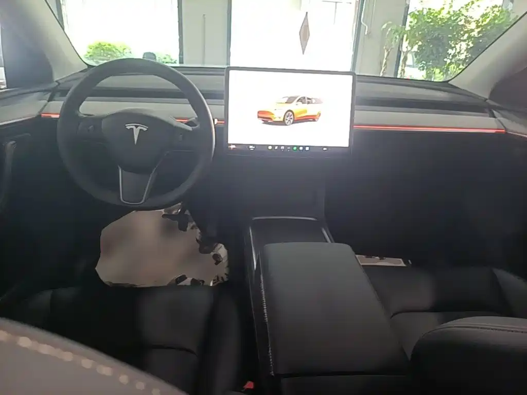 Tesla Model Y — фото 10