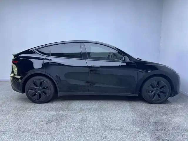 Tesla Model Y — фото 11