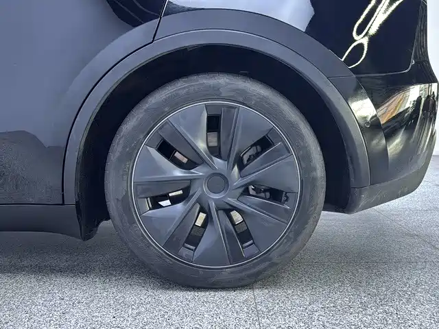 Tesla Model Y — фото 19