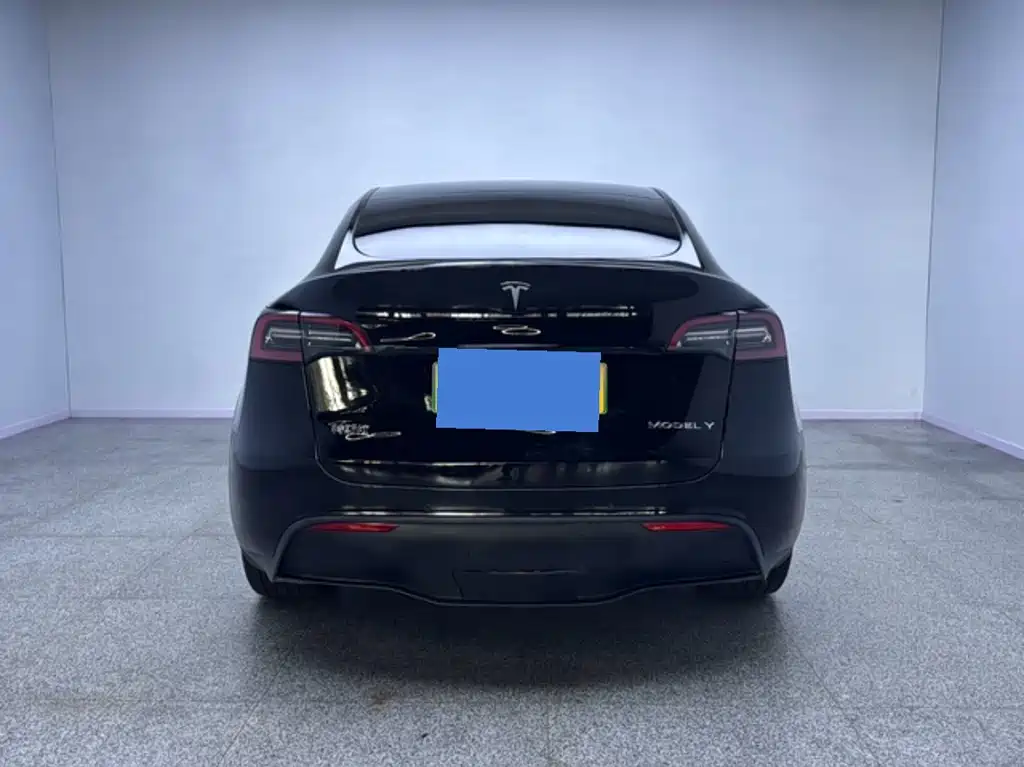Tesla Model Y — фото 8
