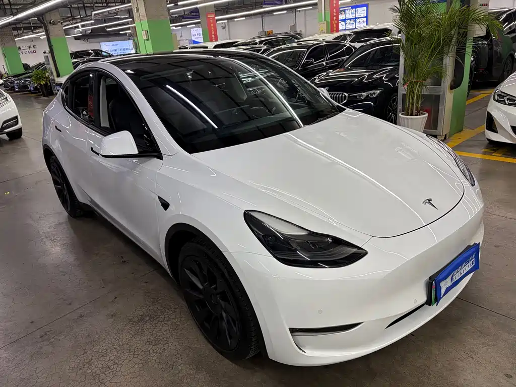 Tesla Model Y — фото 2