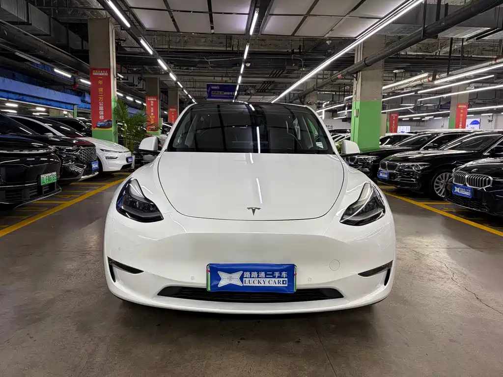 Tesla Model Y — фото 3