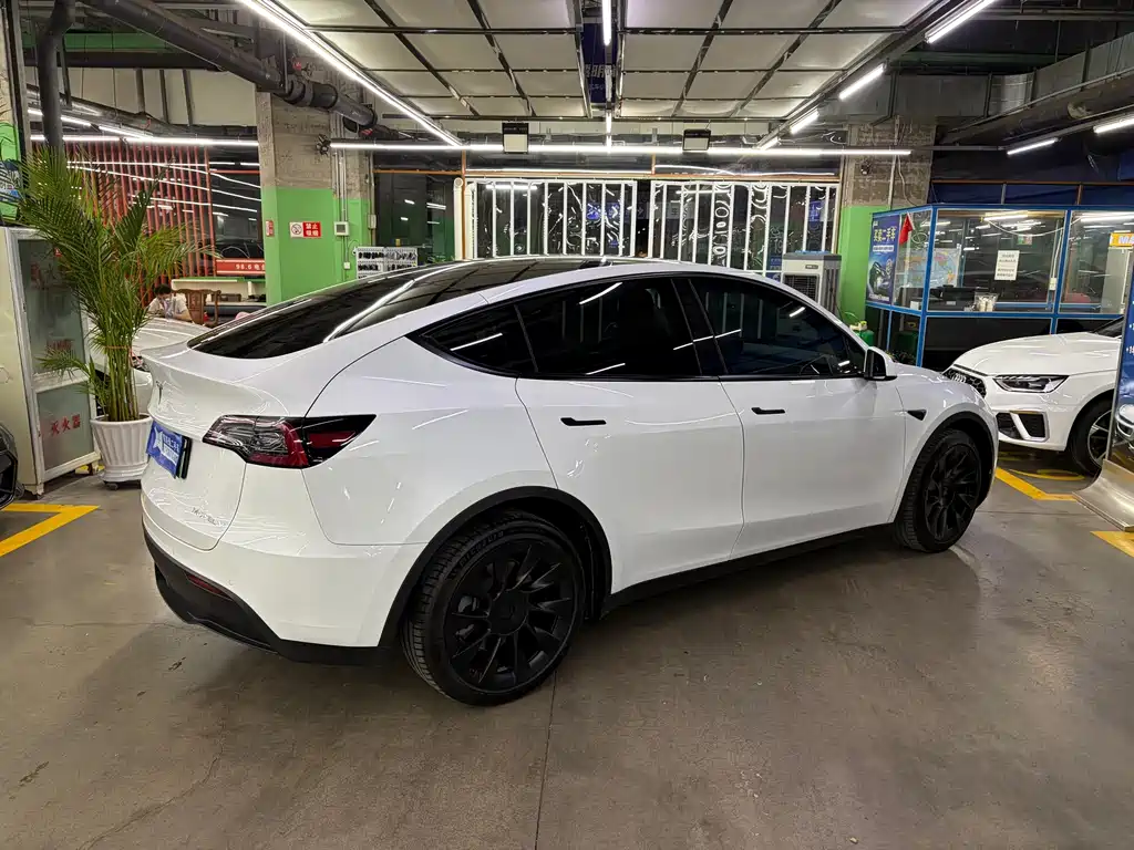 Tesla Model Y — фото 4
