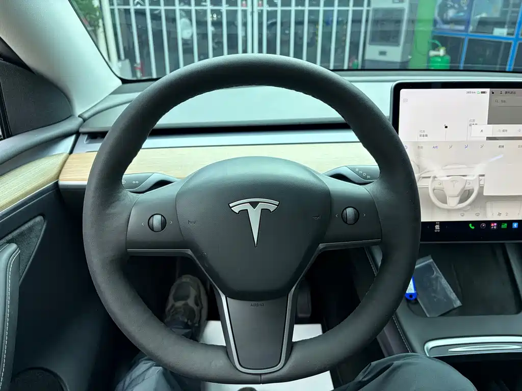 Tesla Model Y — фото 10
