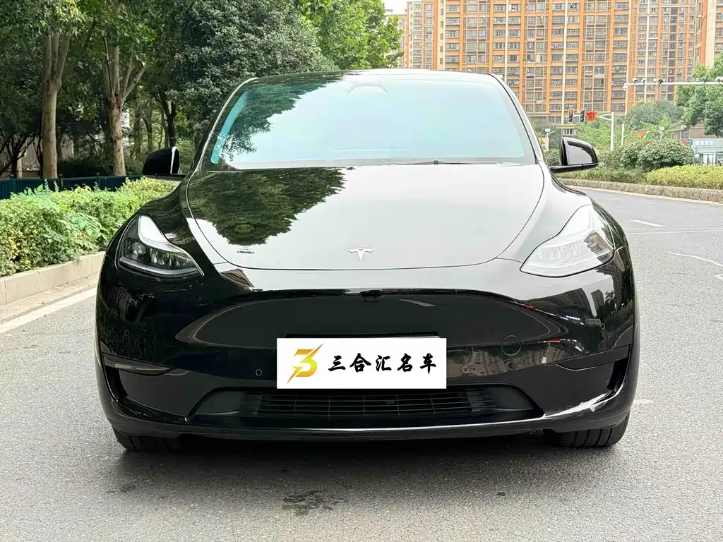 Tesla Model Y — фото 2