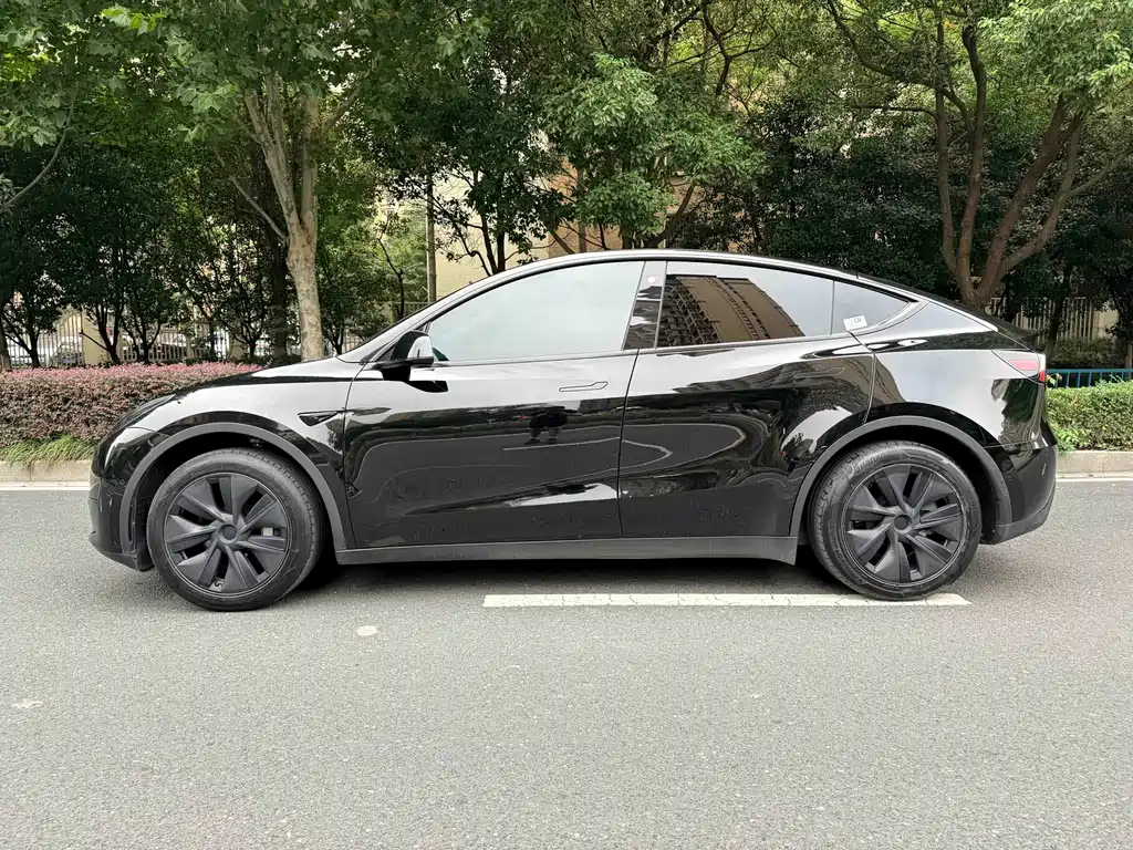 Tesla Model Y — фото 5