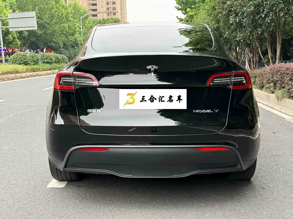 Tesla Model Y — фото 9