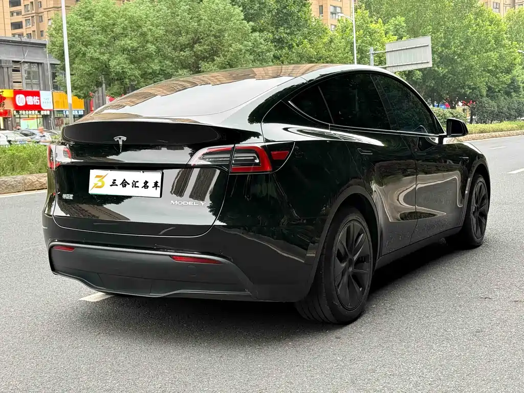 Tesla Model Y — фото 10