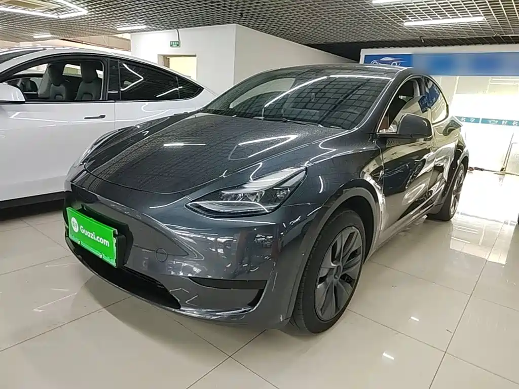 Tesla Model Y — фото 2