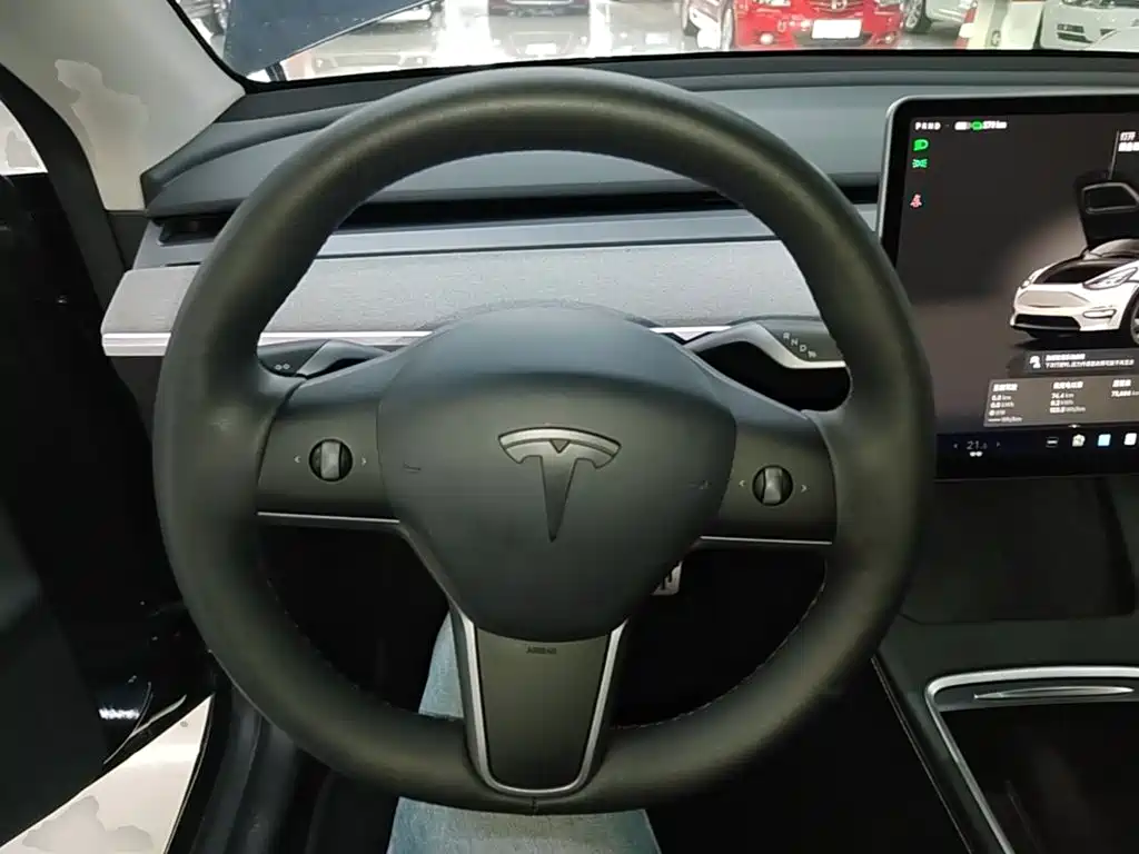 Tesla Model Y — фото 11