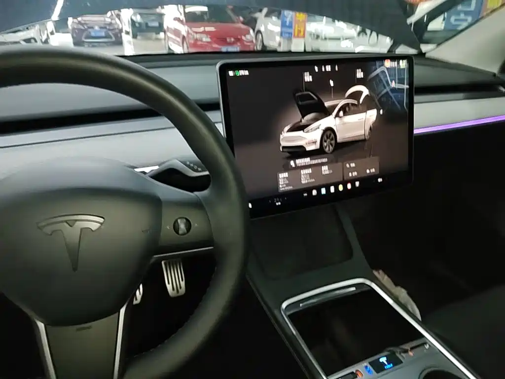 Tesla Model Y — фото 14