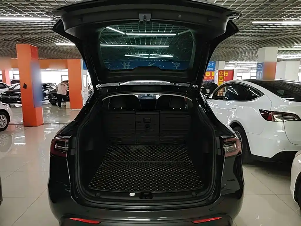 Tesla Model Y — фото 19