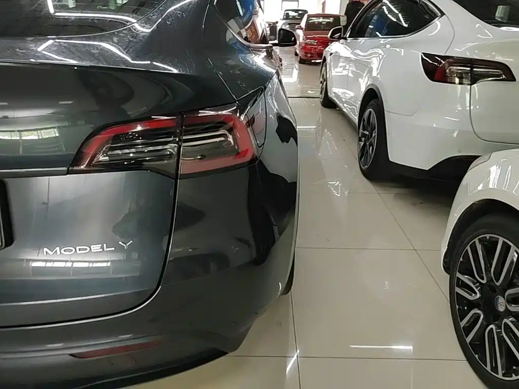 Tesla Model Y — фото 8