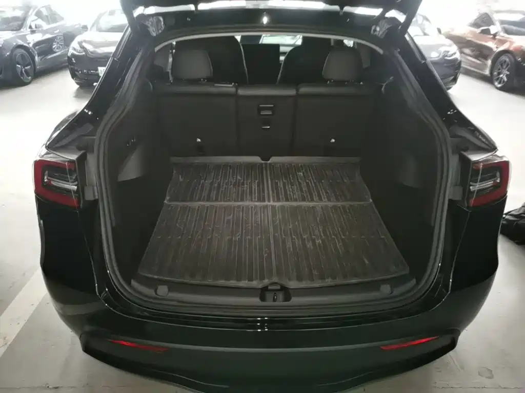 Tesla Model Y — фото 19