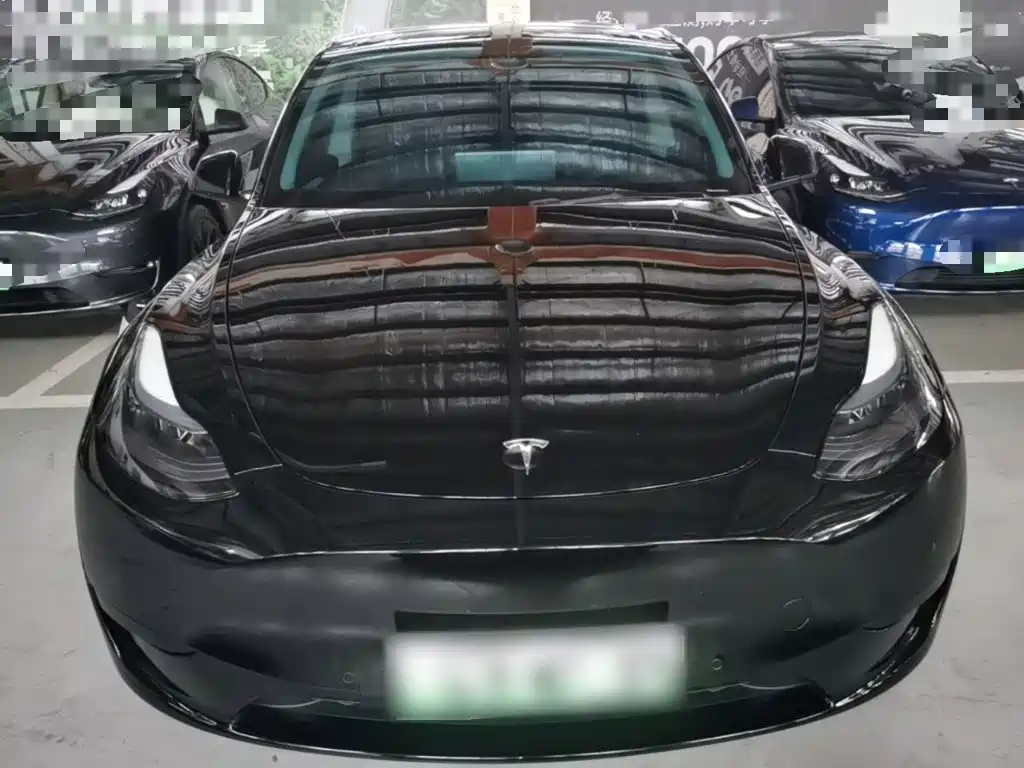 Tesla Model Y — фото 3