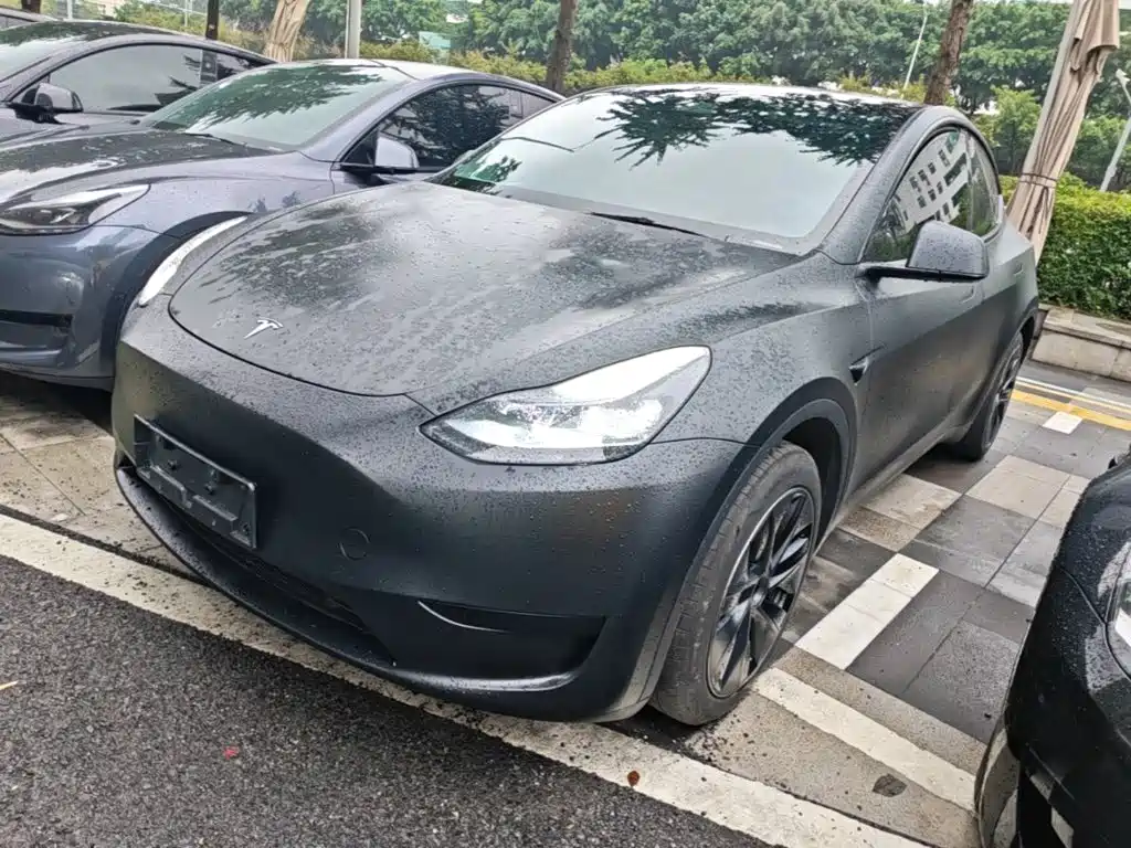 Tesla Model Y — фото 2