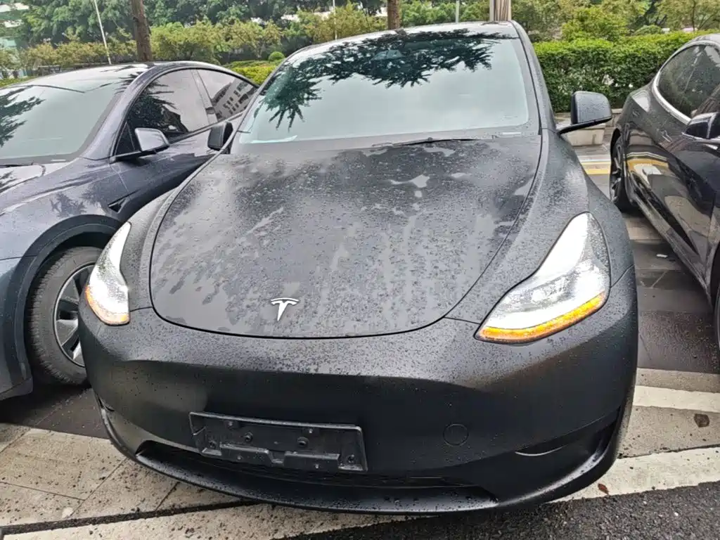 Tesla Model Y — фото 3