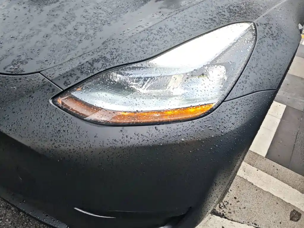 Tesla Model Y — фото 24