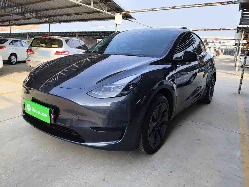 Tesla Model Y — фото 2
