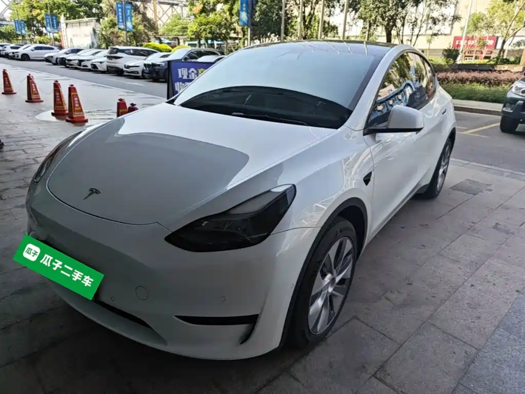Tesla Model Y — фото 2