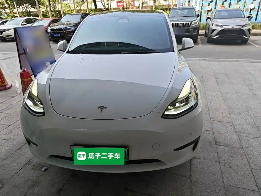 Tesla Model Y — фото 3