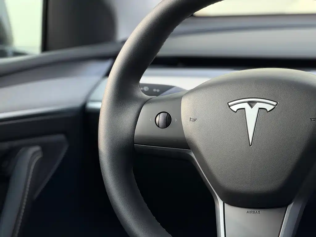 Tesla Model Y — фото 15