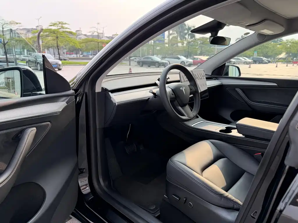 Tesla Model Y — фото 8