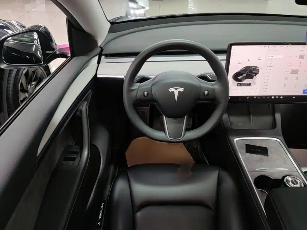 Tesla Model Y — фото 11