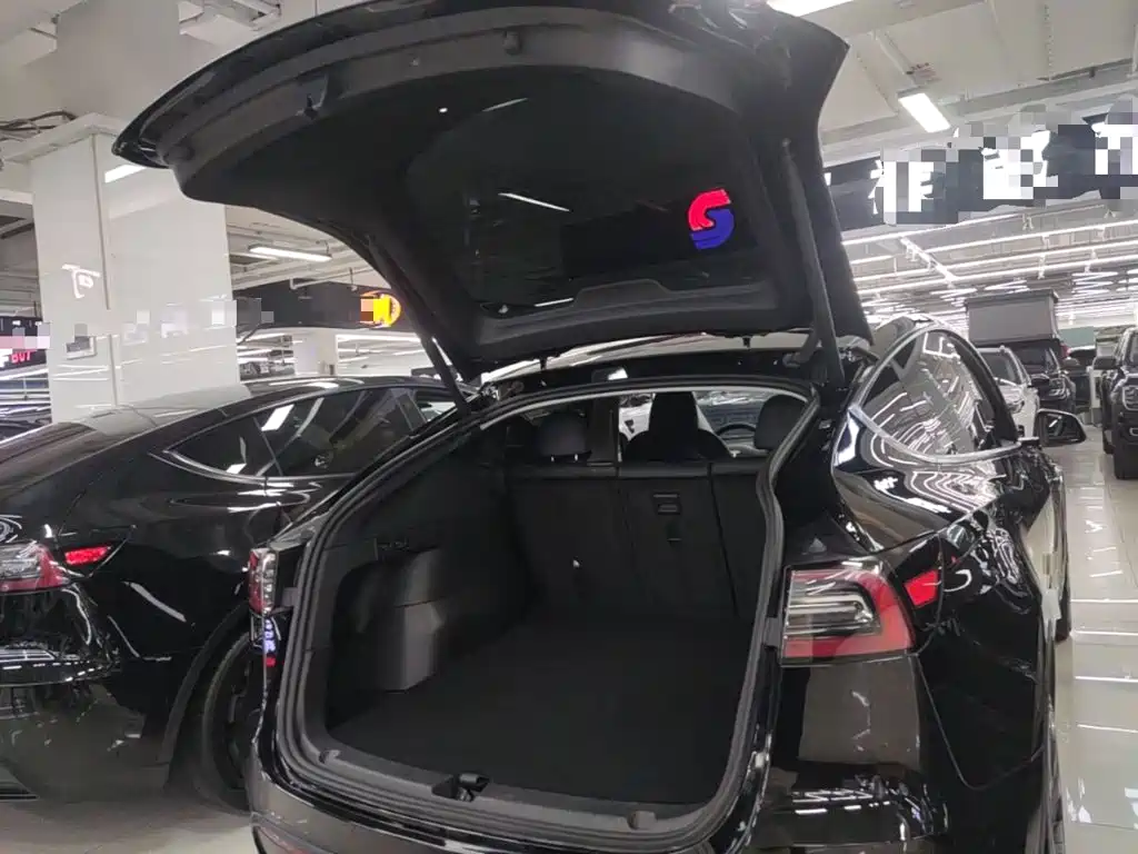 Tesla Model Y — фото 19