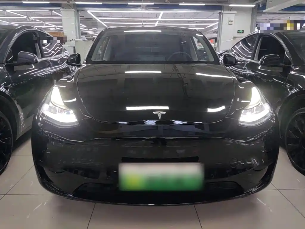 Tesla Model Y — фото 3