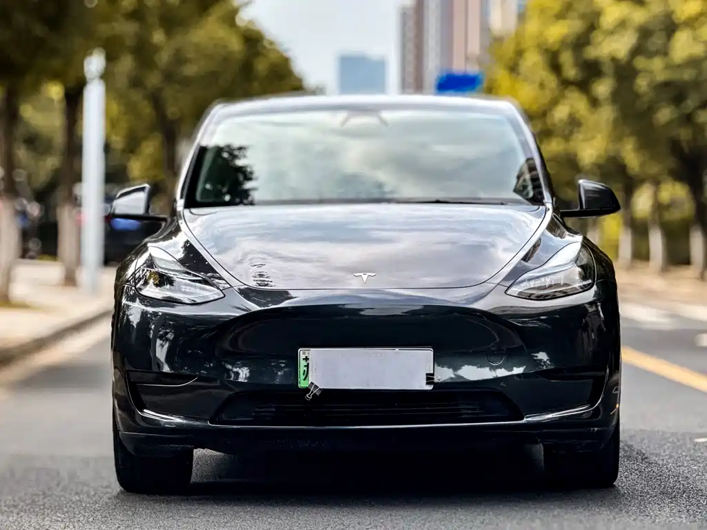 Tesla Model Y — фото 2