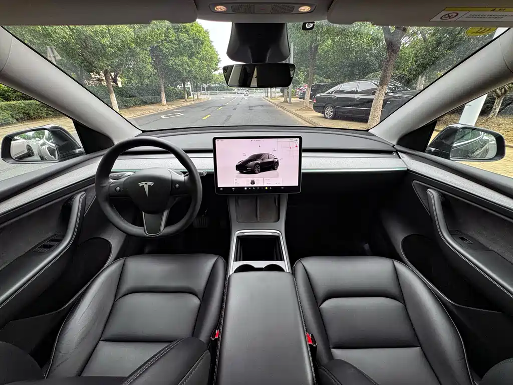 Tesla Model Y — фото 14