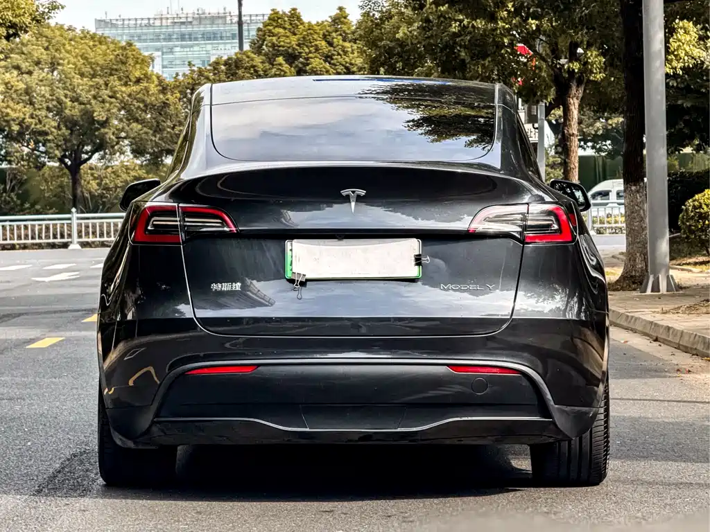 Tesla Model Y — фото 3