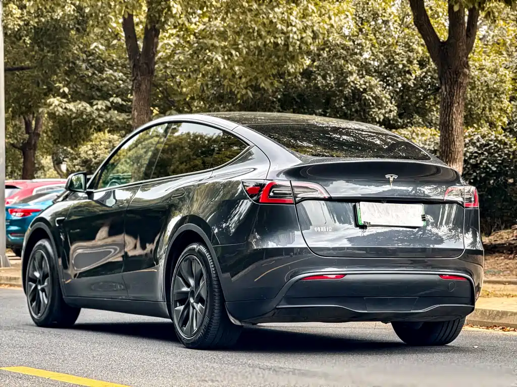 Tesla Model Y — фото 5